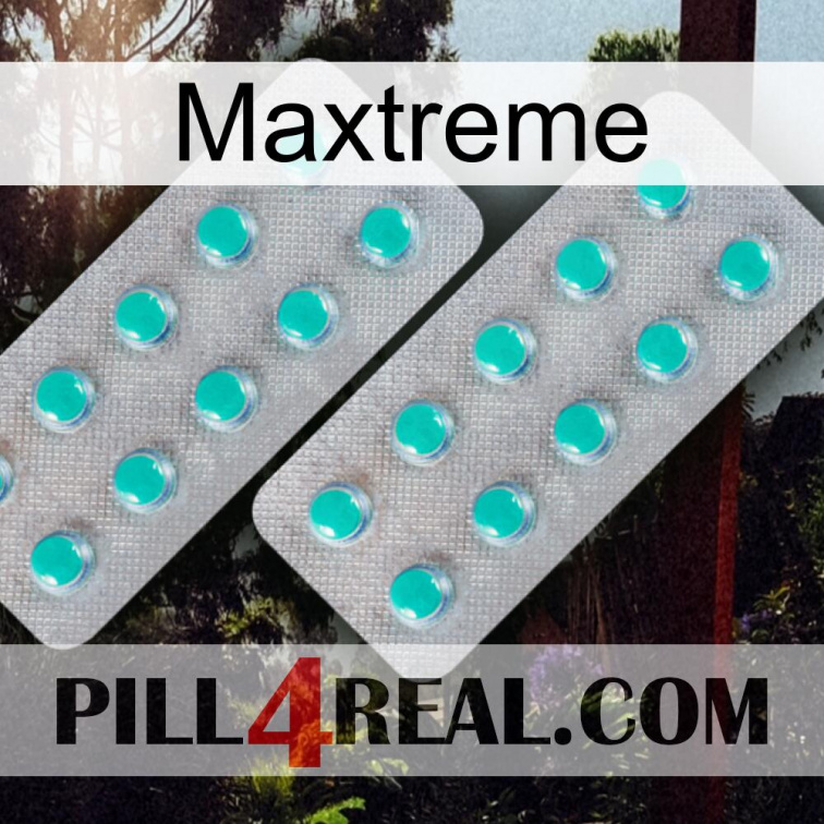 Maxtreme 29